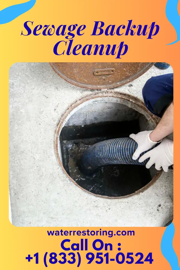 Sewage Backup Cleanup in Osborn, MO