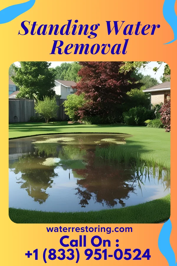 Standing Water Removal in Osborn, MO